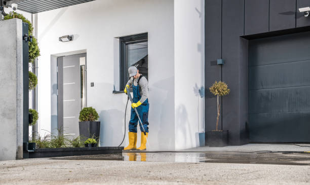 Best Paint Preparation  in Carrollton, IL